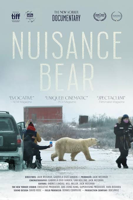 فیلم پرس -  مستند «Nuisance Bear» برای اکران سینمایی آماده می‌شود
